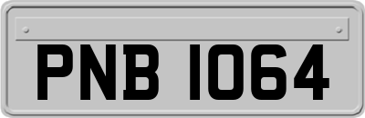 PNB1064
