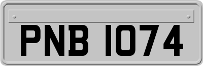 PNB1074