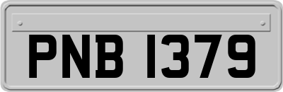 PNB1379