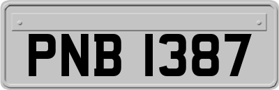 PNB1387