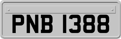 PNB1388