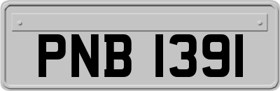 PNB1391