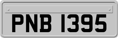 PNB1395