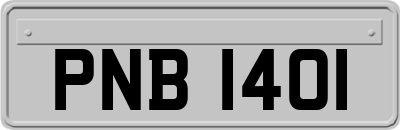 PNB1401