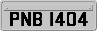 PNB1404