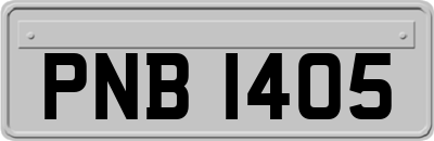 PNB1405