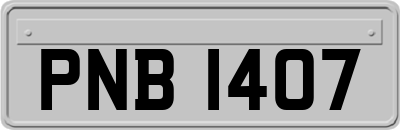 PNB1407
