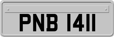 PNB1411