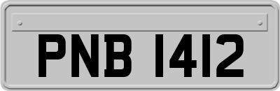 PNB1412