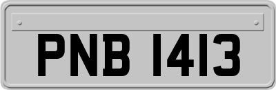 PNB1413