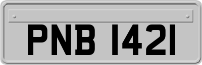 PNB1421