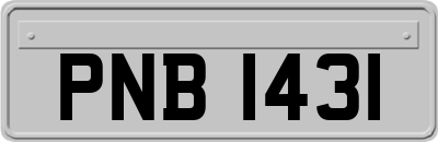 PNB1431