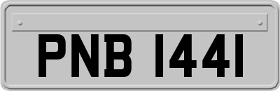 PNB1441