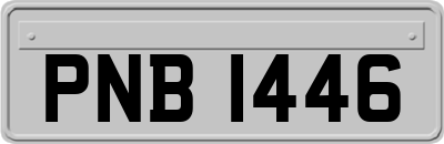 PNB1446