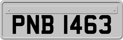 PNB1463