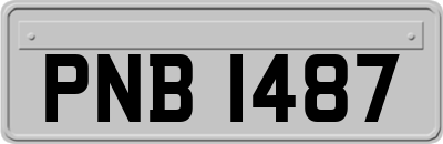 PNB1487