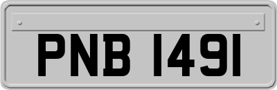 PNB1491