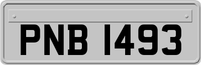 PNB1493