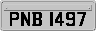 PNB1497