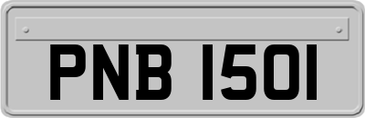 PNB1501