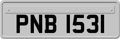 PNB1531