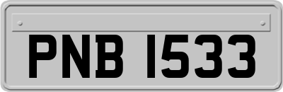 PNB1533
