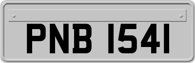 PNB1541