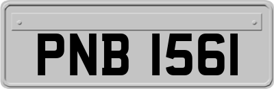 PNB1561