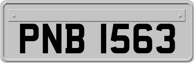 PNB1563