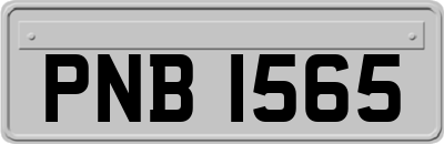 PNB1565