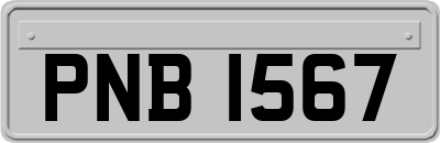 PNB1567