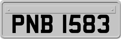 PNB1583