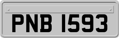 PNB1593