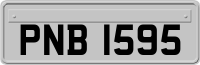 PNB1595