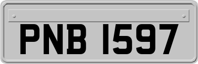 PNB1597