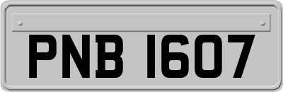 PNB1607