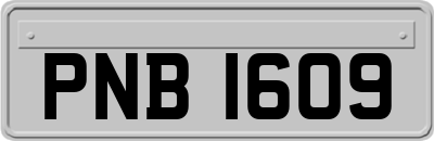 PNB1609