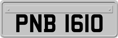 PNB1610