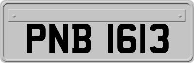 PNB1613