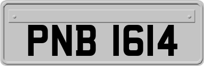 PNB1614
