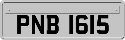 PNB1615