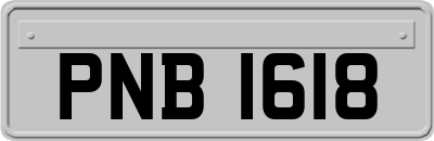 PNB1618
