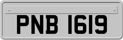 PNB1619