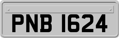PNB1624