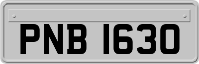 PNB1630