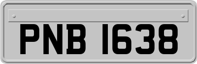PNB1638