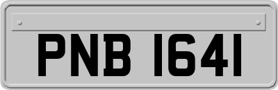 PNB1641