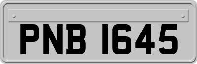PNB1645