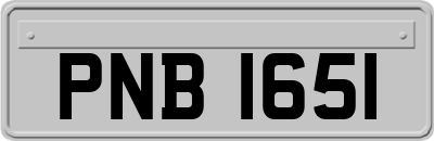 PNB1651