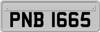 PNB1665
